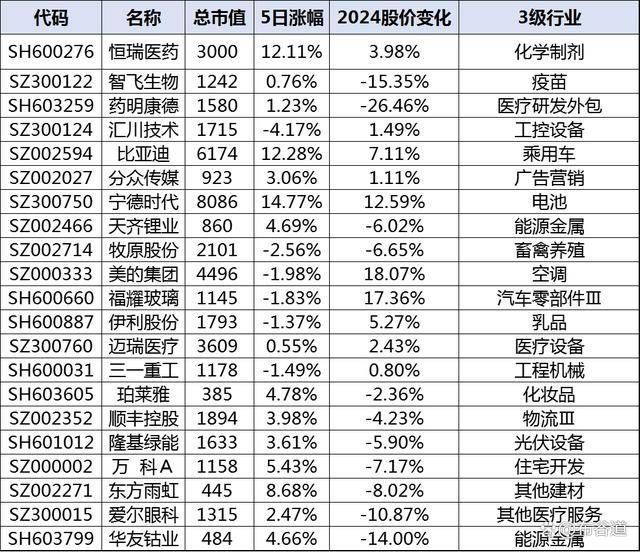 揭秘A50股票成分股，中國股市的重要支柱企業(yè)有哪些？