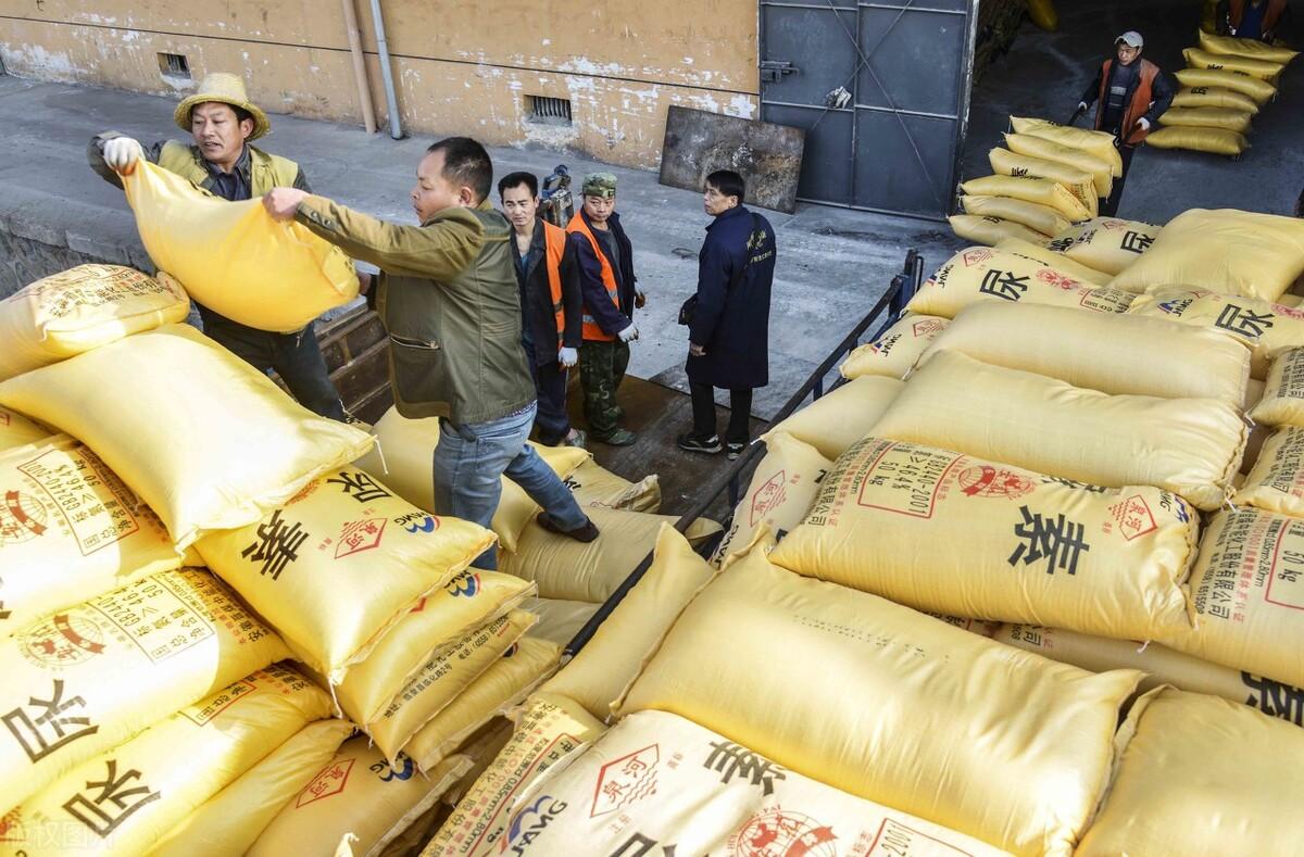 全國(guó)尿素最新價(jià)格，科技重塑生活下的新面貌