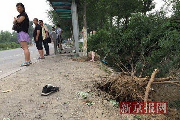 房山車禍真相揭秘，最新消息與各方觀點(diǎn)匯總