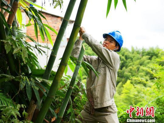 寧德臺風最新動態(tài)，科技智能守護安全前沿