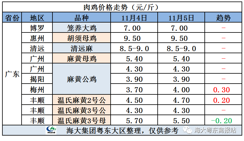 廣東雞價最新行情，心靈與自然的旅行交響曲