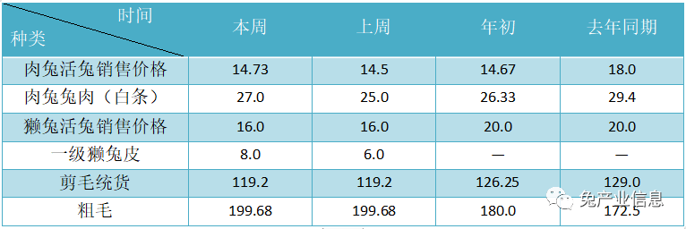 獺兔價(jià)格最新行情揭秘，溫情故事在兔子洞展開(kāi)